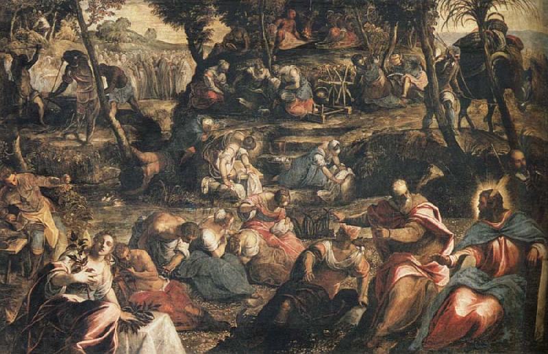 Jacopo Tintoretto Gathering of Manna Germany oil painting art